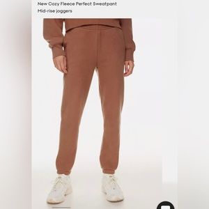 Aritzia perfect fit sweatpants